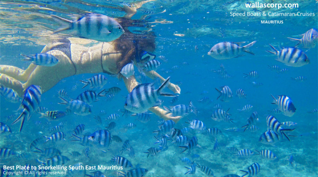 Snorkelling in clear lagoon waters