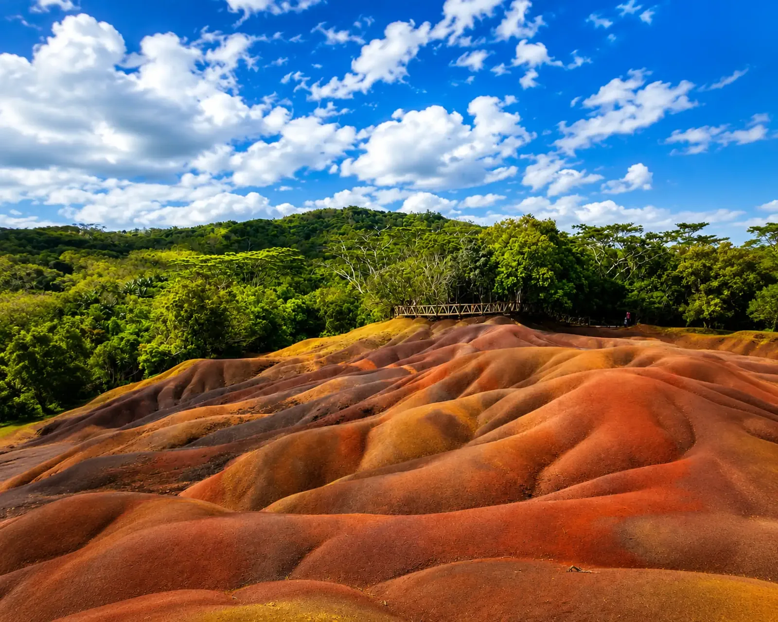 Erddünen in warmen Farbtönen bei der Siebenfarbigen Erde von Chamarel, umgeben von grünem Wald auf Mauritius.