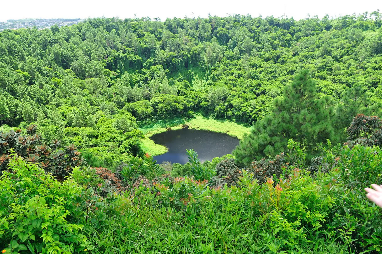 Pentes boisées et petit lac de cratère à Trou aux Cerfs, à Curepipe, Maurice.