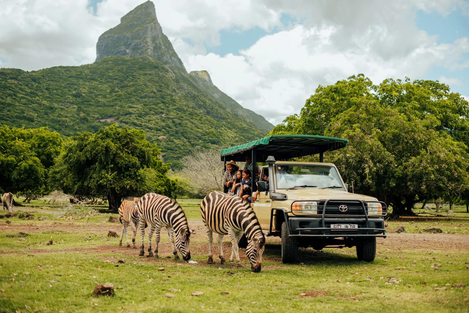 Ein Safari-Geländewagen neben Zebras vor einer Bergkulisse im Casela Nature Parks auf Mauritius.