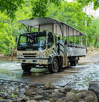 Ein offener Safaribus im Casela Nature Parks auf Mauritius.