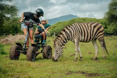 Safari-Eco-Rider-Besucher neben einem Zebra im Casela Nature Parks auf Mauritius.